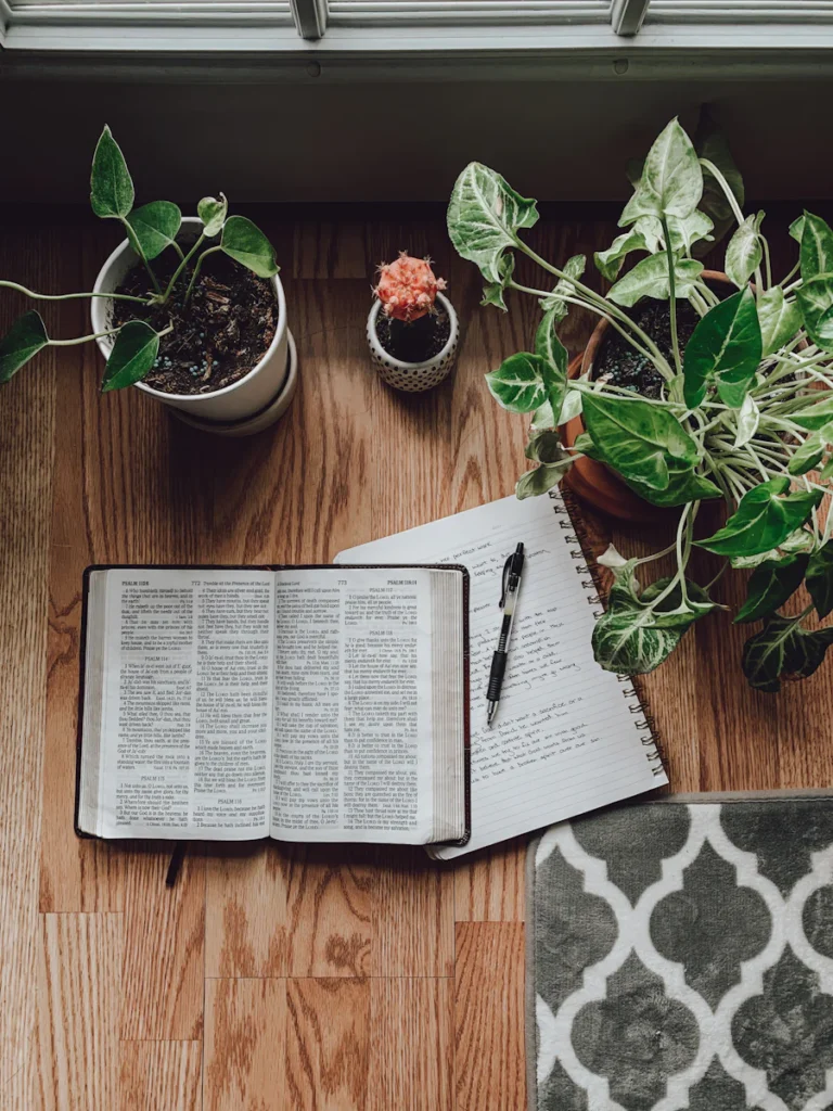 Bible Verse Breakdown Tool