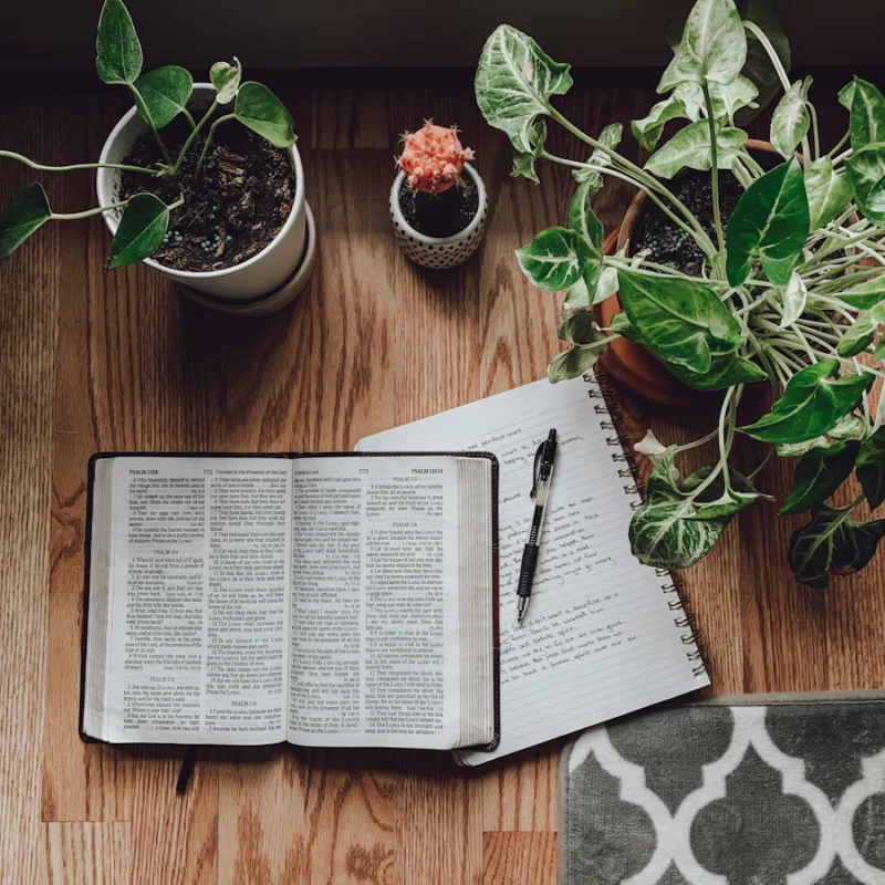 Bible Verse Breakdown Tool