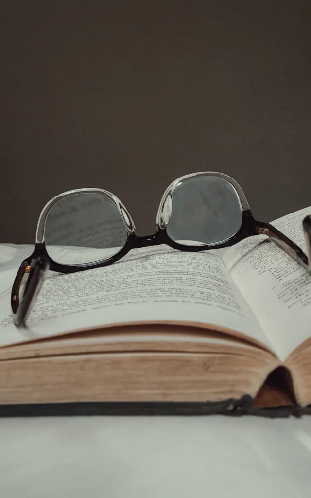 Dictionary/Thesaurus Tool