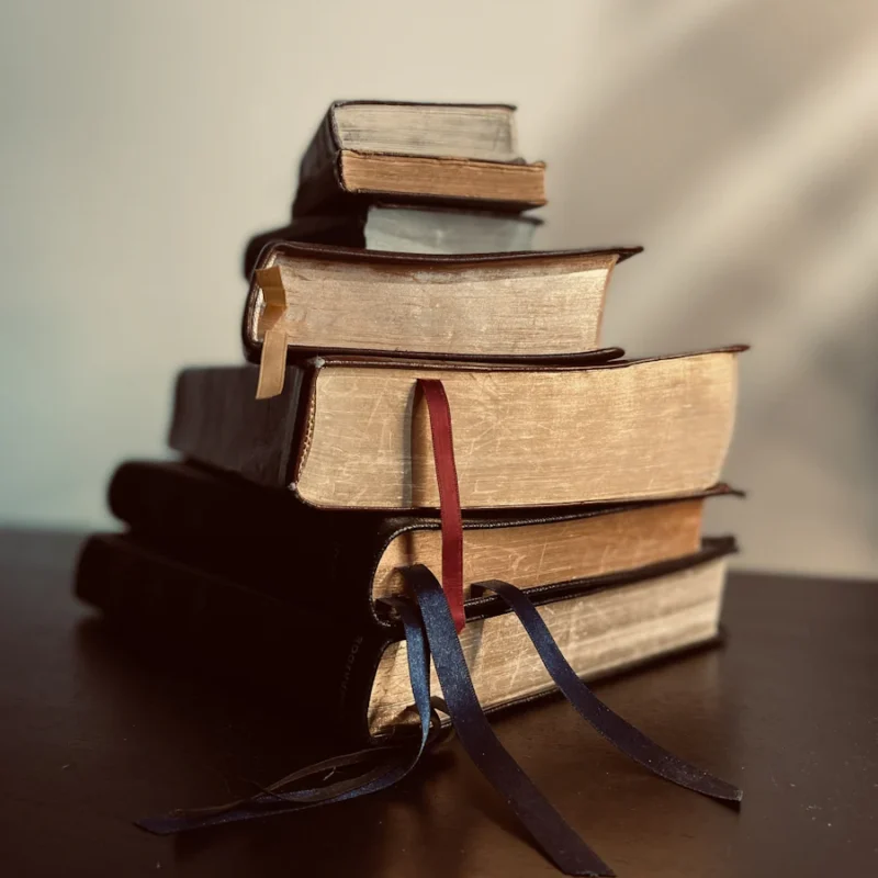 Parallel Bible tool