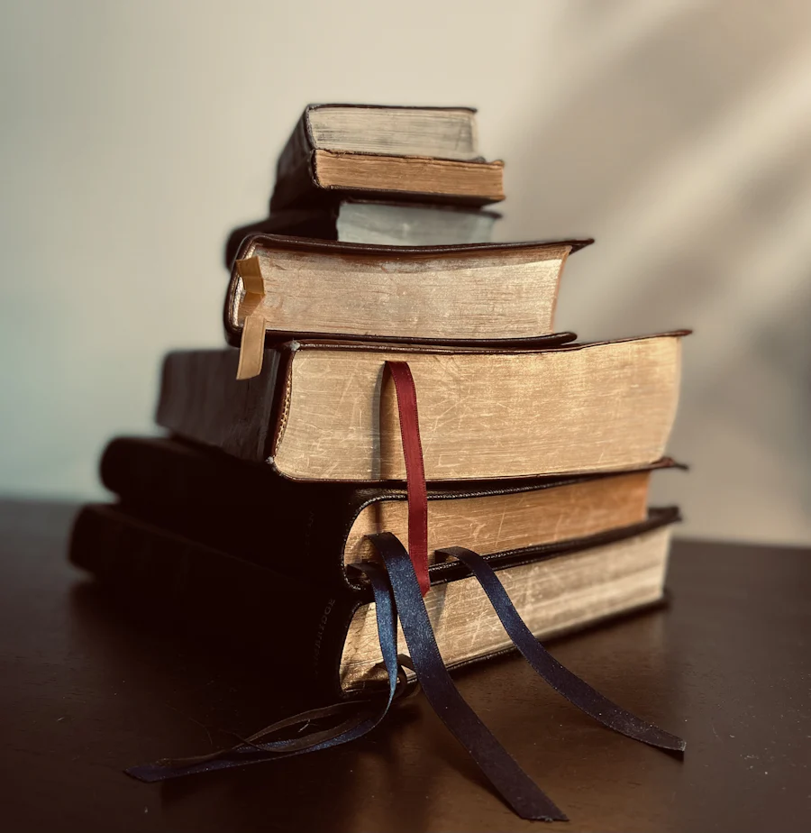 Parallel Bible tool